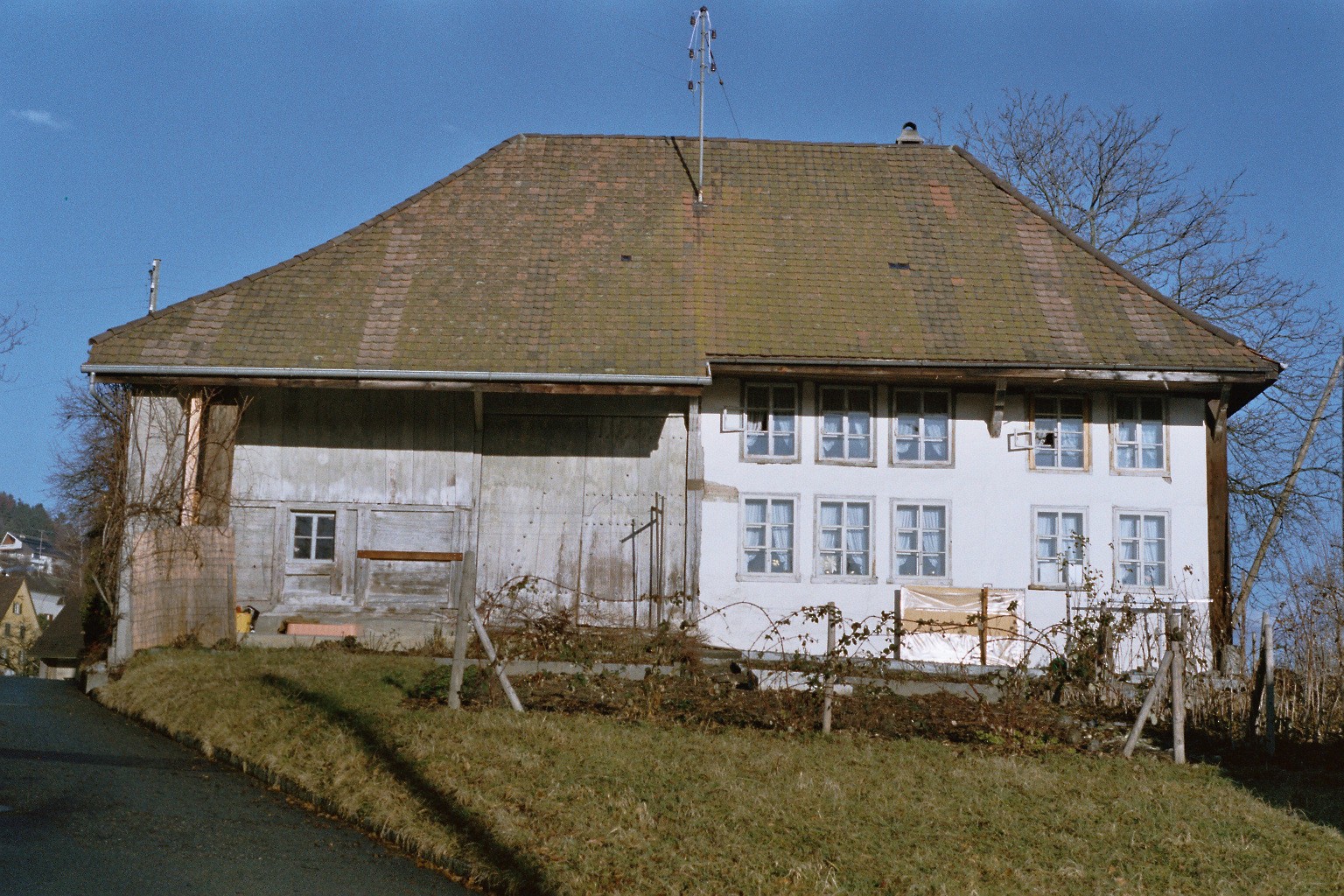 imm001_N49.jpg