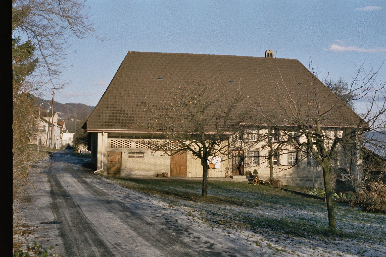 imm010_N58.jpg