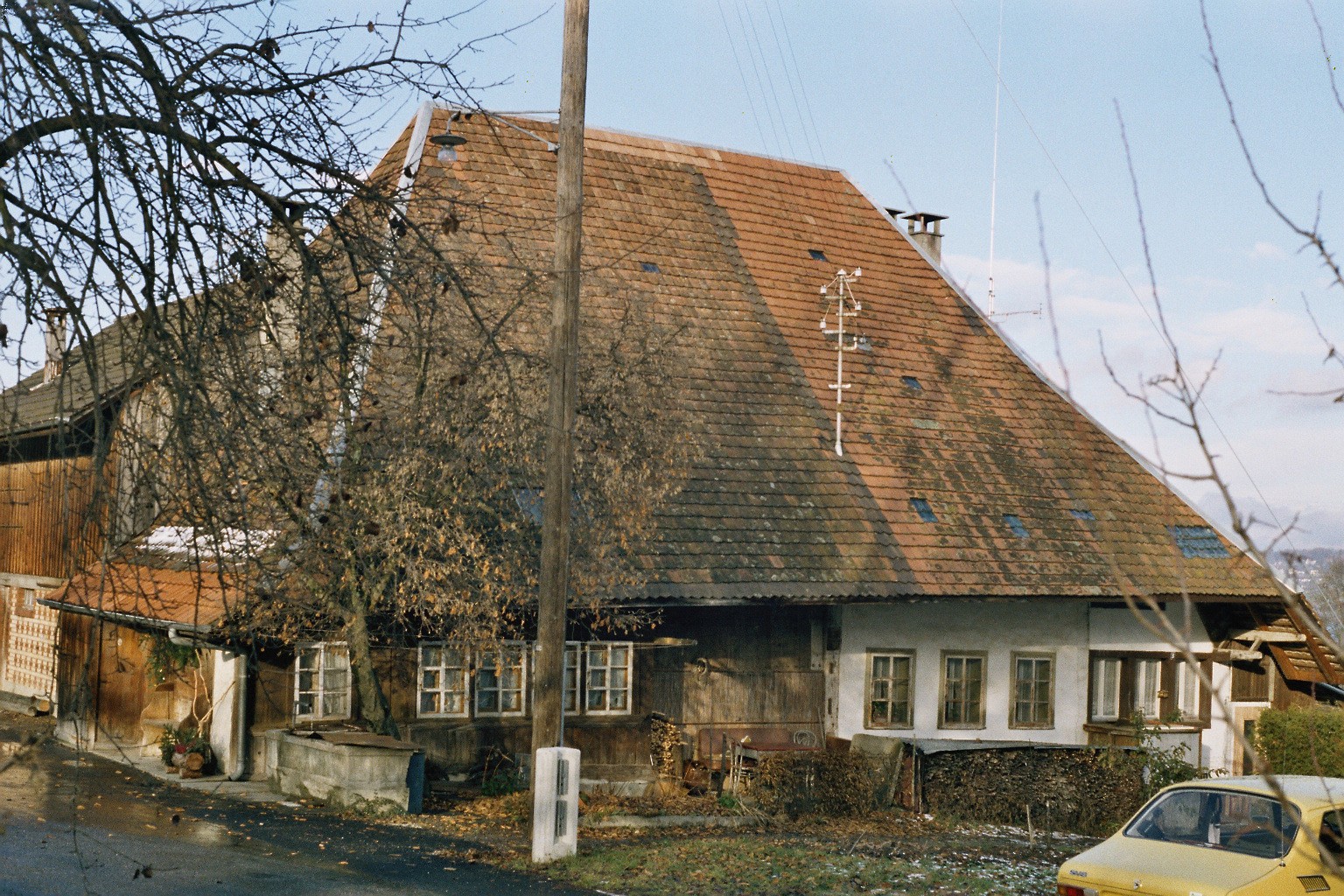imm018_N66.jpg