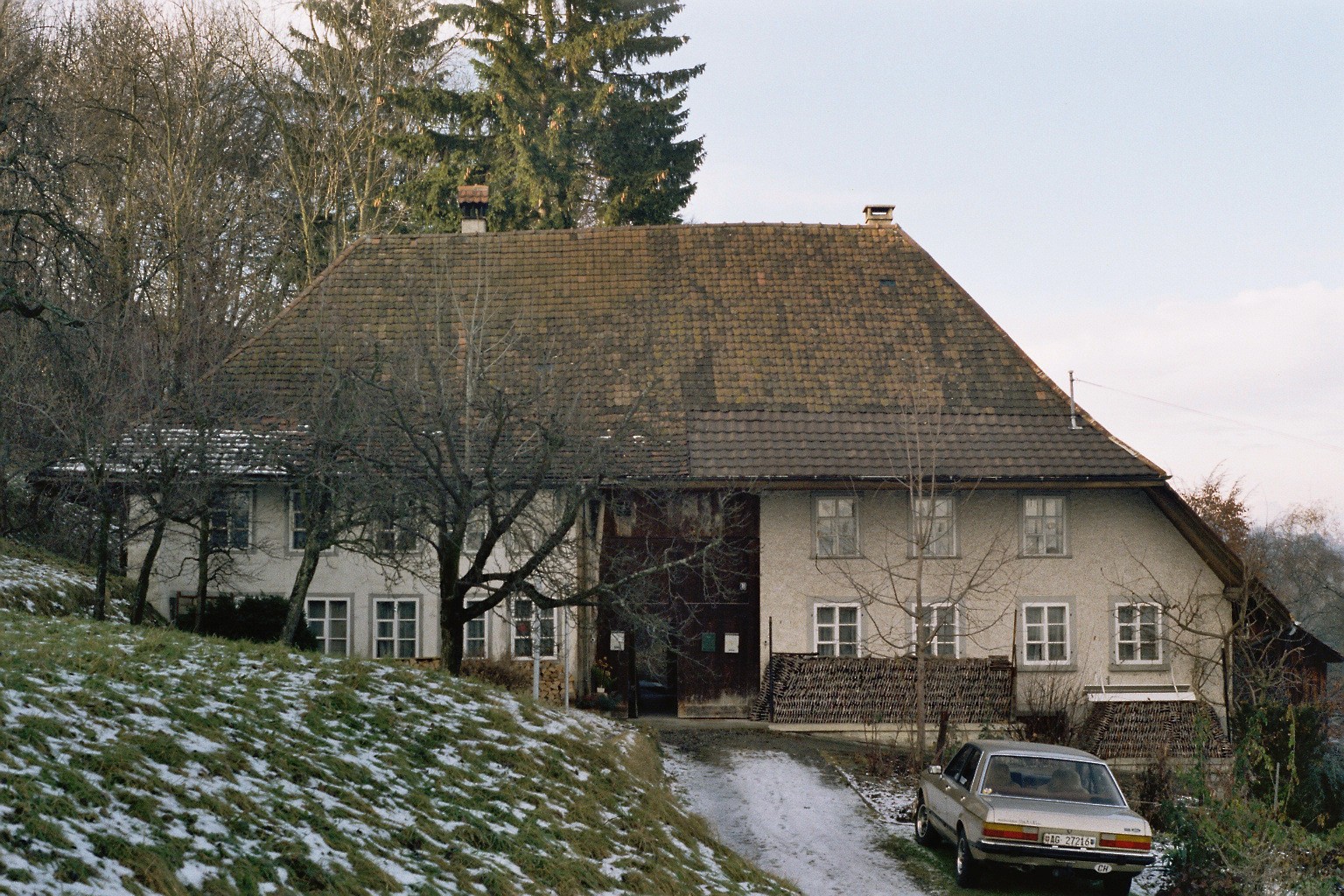 imm021_N69.jpg