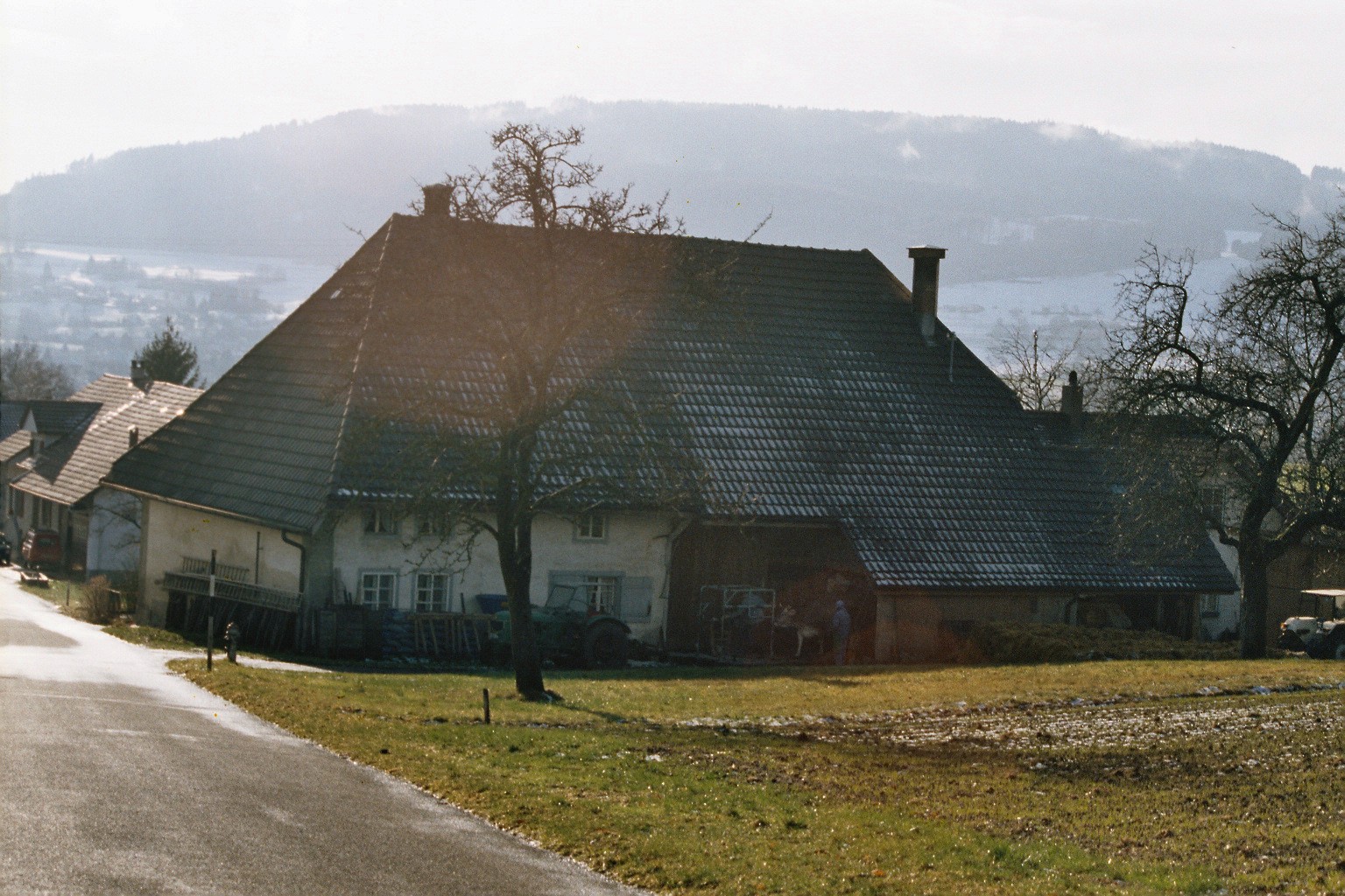 imm026_N74.jpg
