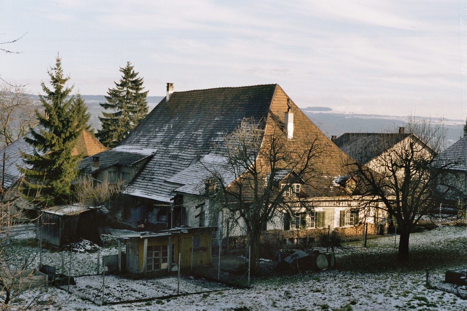 imm029_N77.jpg